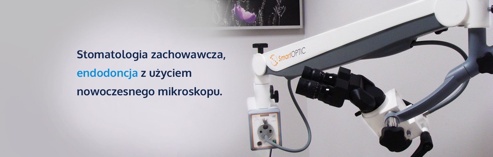 Dentimed - Stomatologia Tarnobrzeg - RTG/pantomograf/pantomogram/mikroskop/implanty